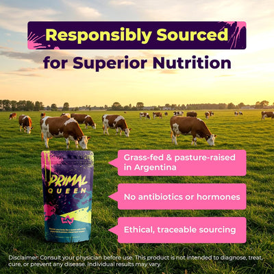 Primal Queen  Beef Organ Superfood Supplement